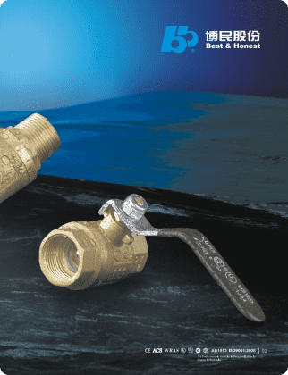 Best & Honest, Leading Manufacturer and Supplier in the Global Plumbing Valves Market.